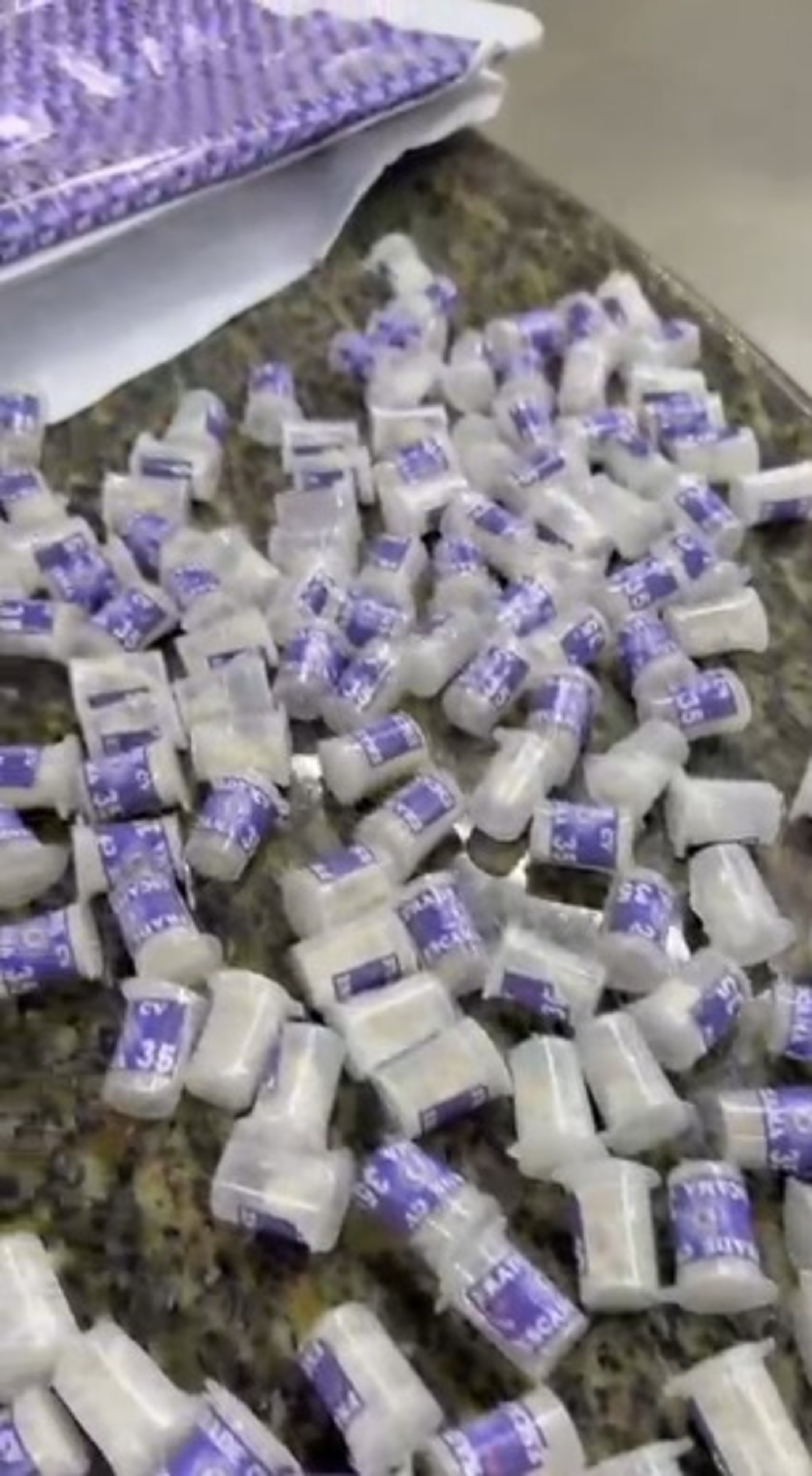 Uma pessoa é presa e outras duas são autuadas com drogas em Angra dos Reis 