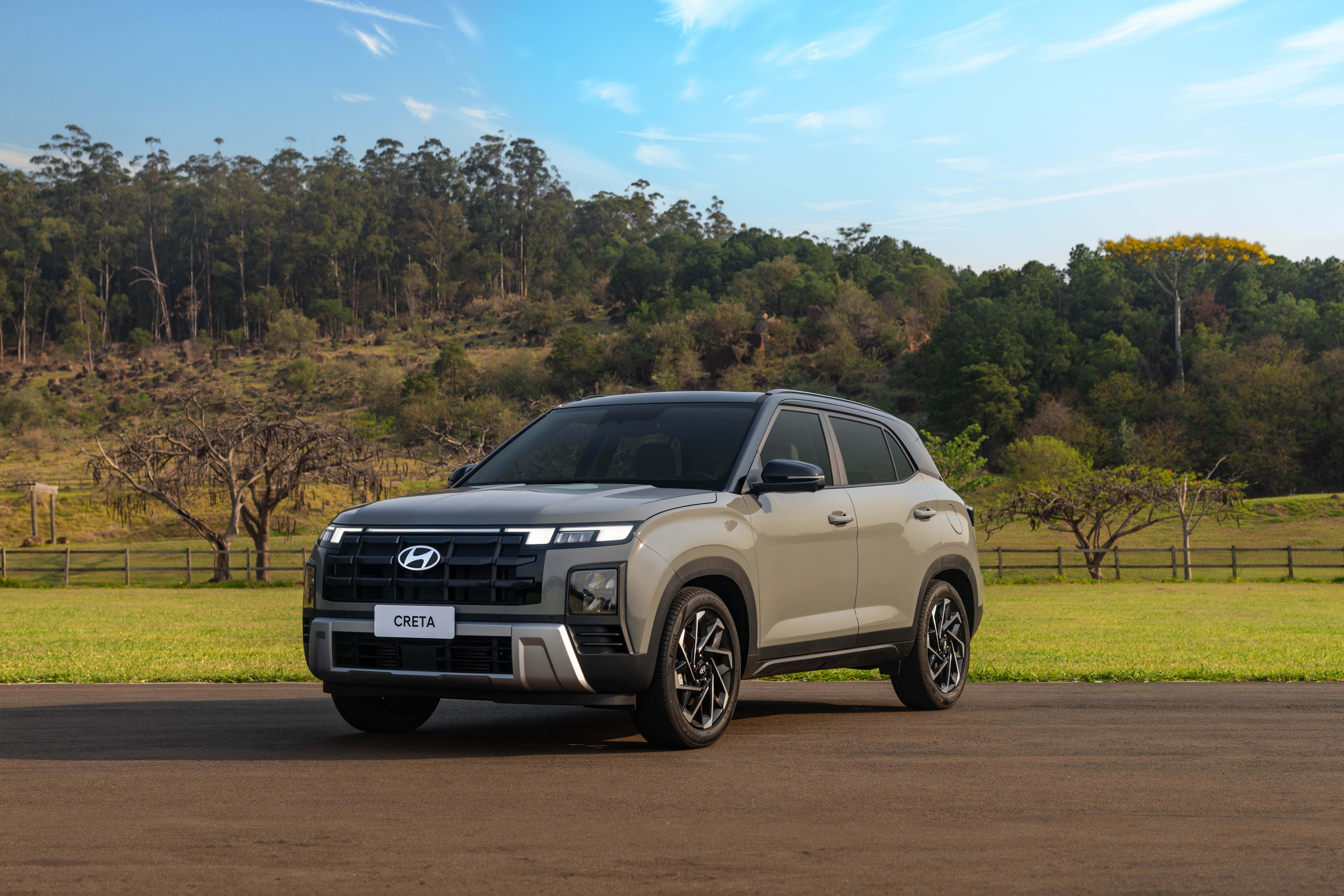 Hyundai Creta: 69.116 unidades