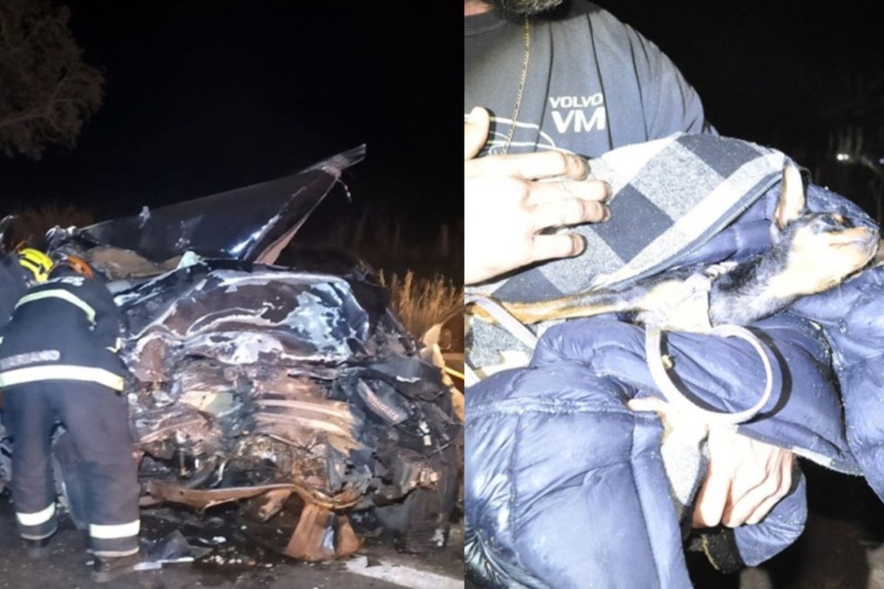 Carro que matou estudante de medicina ficou completamente destruído. Pet da família sobreviveu — Foto: Ocorreionews