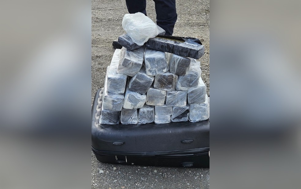 Mais de 20 kg de maconha foram encontrados em mala na quarta-feira (20), em Itapeva (SP) — Foto: Reprodução/Polícia Civil