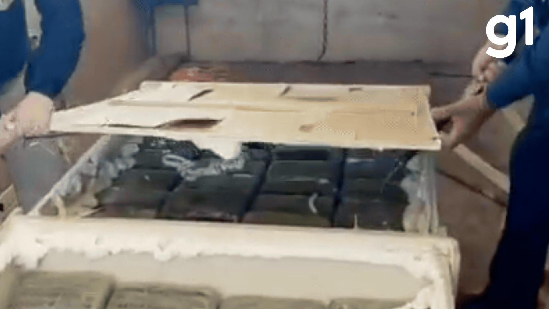 Mais de 1 tonelada de skunk é encontrado dentro de veículo de carga em MT