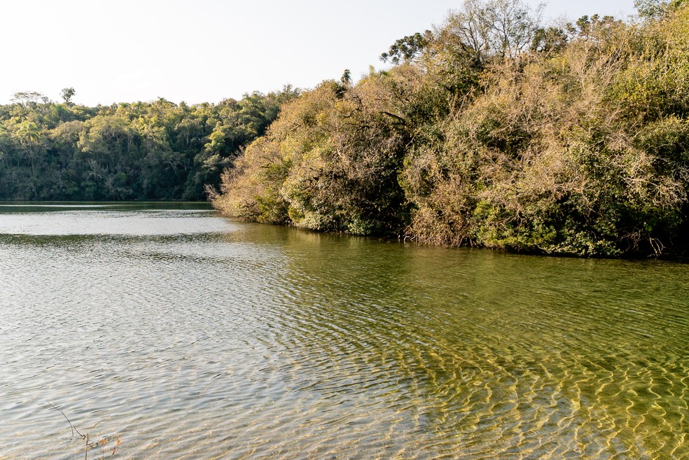 Imagem Divulgação/Soul Parques