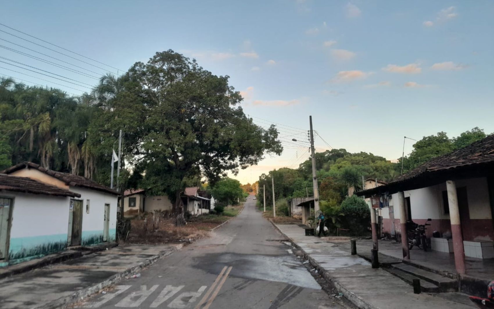Conheça a história da colônia alemã centenária no coração de Goiás