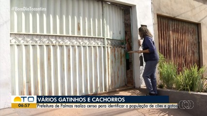 Prefeitura realiza levantamento para identificar população de cães e gatos em Palmas