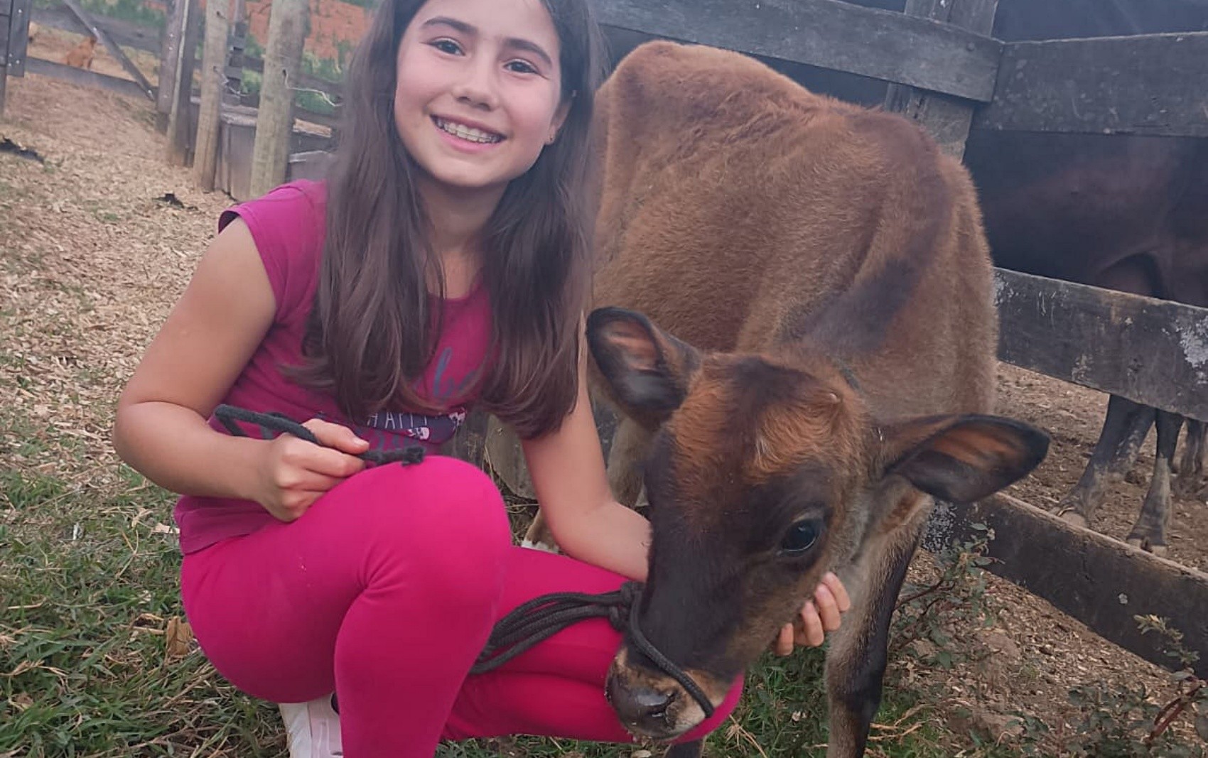 Nascimento de bezerra interrompe entrevista de menina que mostra rotina de fazenda nas redes sociais