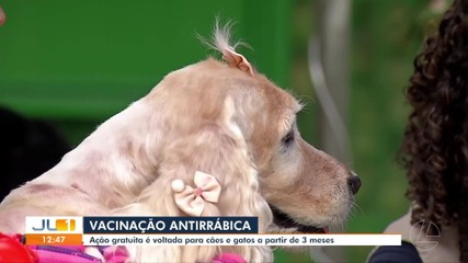 VÍDEOS: JL1 de sábado, 20 de dezembro de 2025