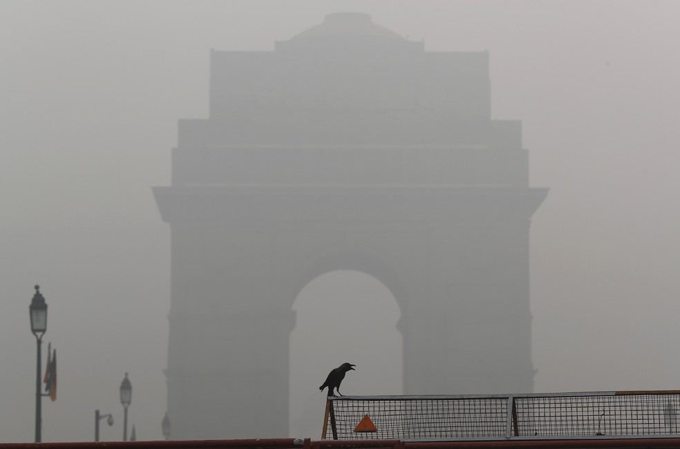 Corvo repousa sobre cerca em frente ao Arco da Índia em meio a poluição de Nova Delhi — Foto: Adnan Abidi/Reuters