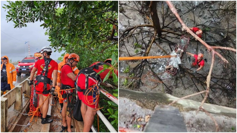 Bombeiros realizaram um resgate complexo que durou cerca de duas horas — Foto: Divulgação/Corpo de Bombeiros