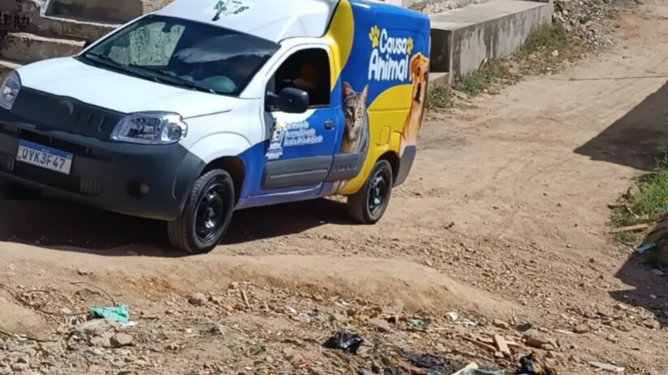 Polícia investiga morte de cachorro que foi queimado em Pesqueira