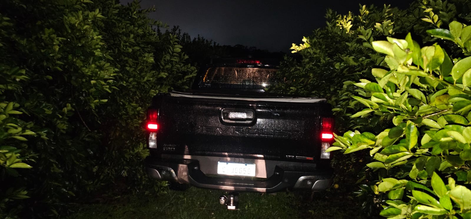 Assaltantes invadem casa e levam fuzil, pistolas e munições no interior de SP