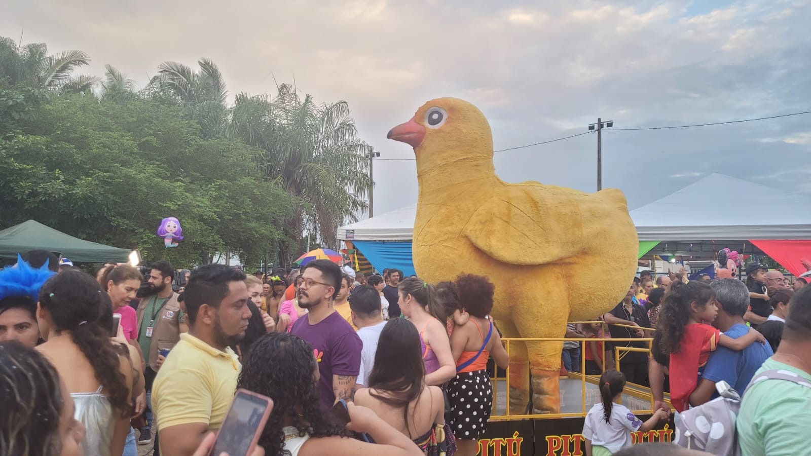 Carnaval 2025: confira a agenda dos blocos carnavalescos em Teresina