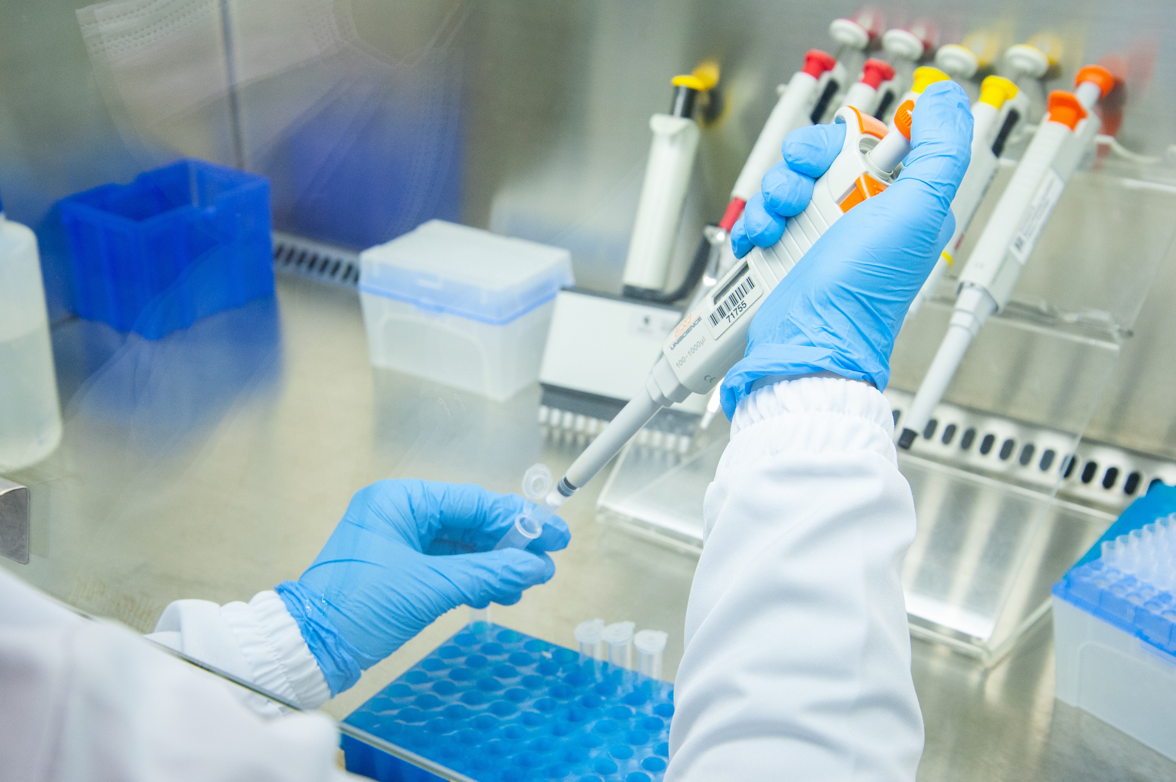 De biológicas a exatas, UFSC tem 34 cientistas entre os mais influentes do mundo; veja nomes