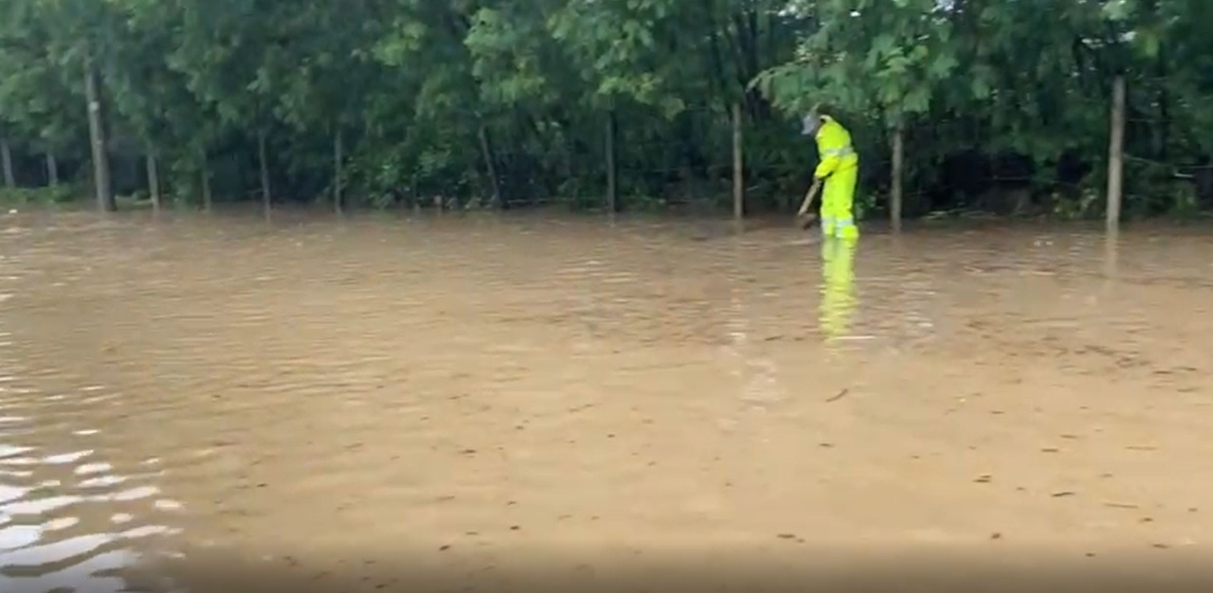 Chuva em Campinas provoca pontos de alagamentos e quedas de árvores 