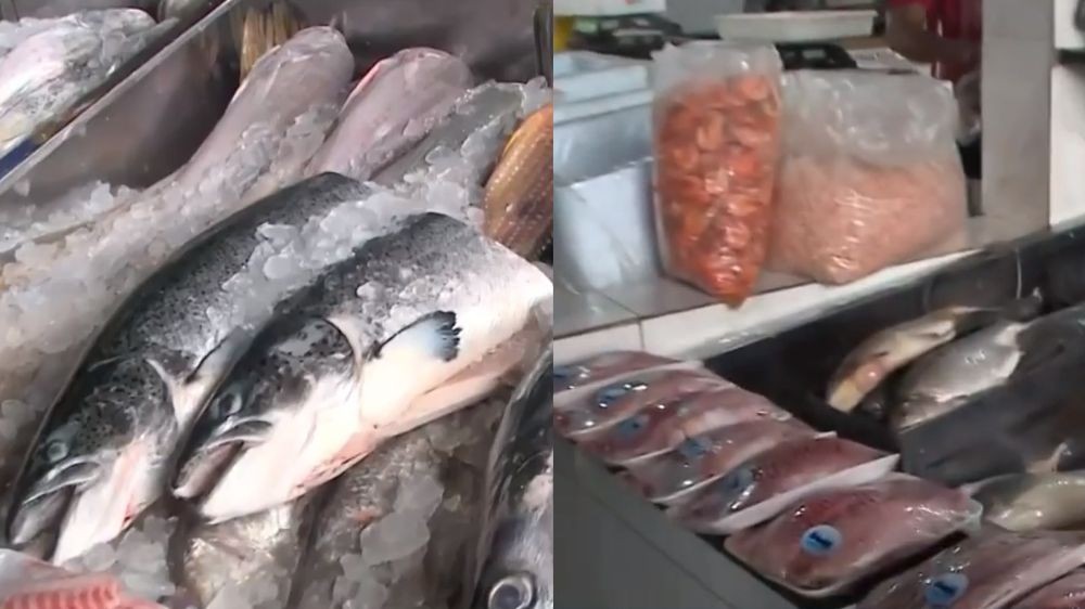 Quaresma aumenta movimento no Mercado do Peixe em Teresina; veja preços de Tilápia, Pescada Amarela e mais
