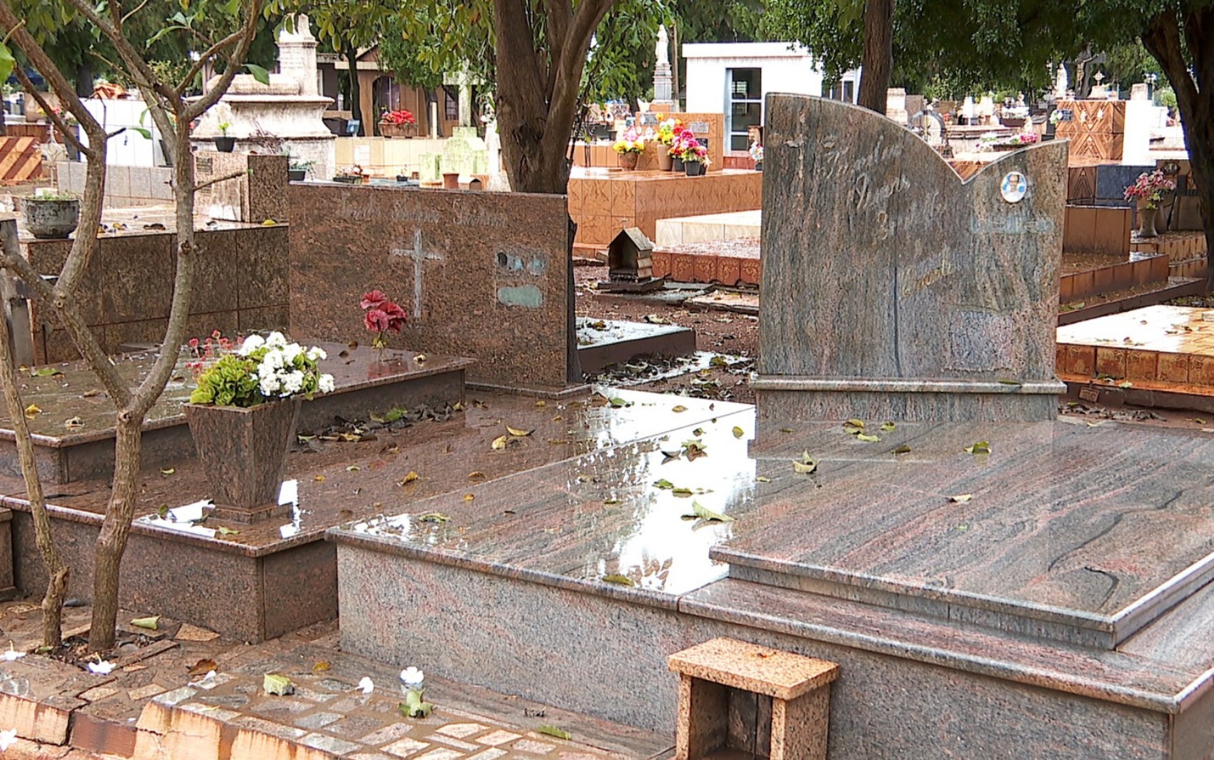 Famílias relatam prejuízos com furtos de placas de bronze em cemitério de Pitangueiras , SP