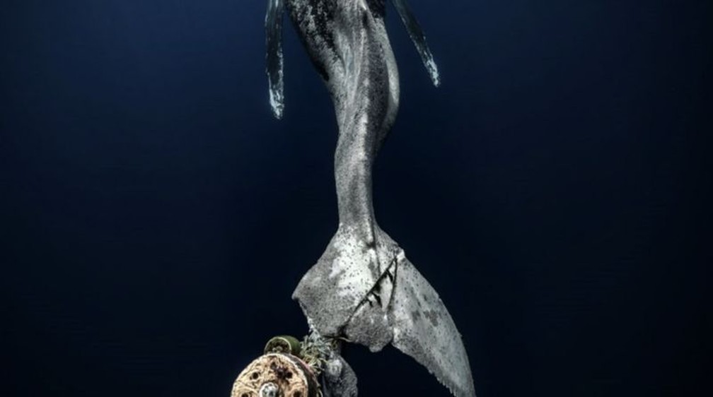 Esta foto de uma baleia-jubarte no Oceano Pacífico, na Baixa Califórnia, no México, ganhou o primeiro prêmio na categoria No time to Waste ('Sem Tempo a Perder') — Foto: ÁLVARO HERRERO