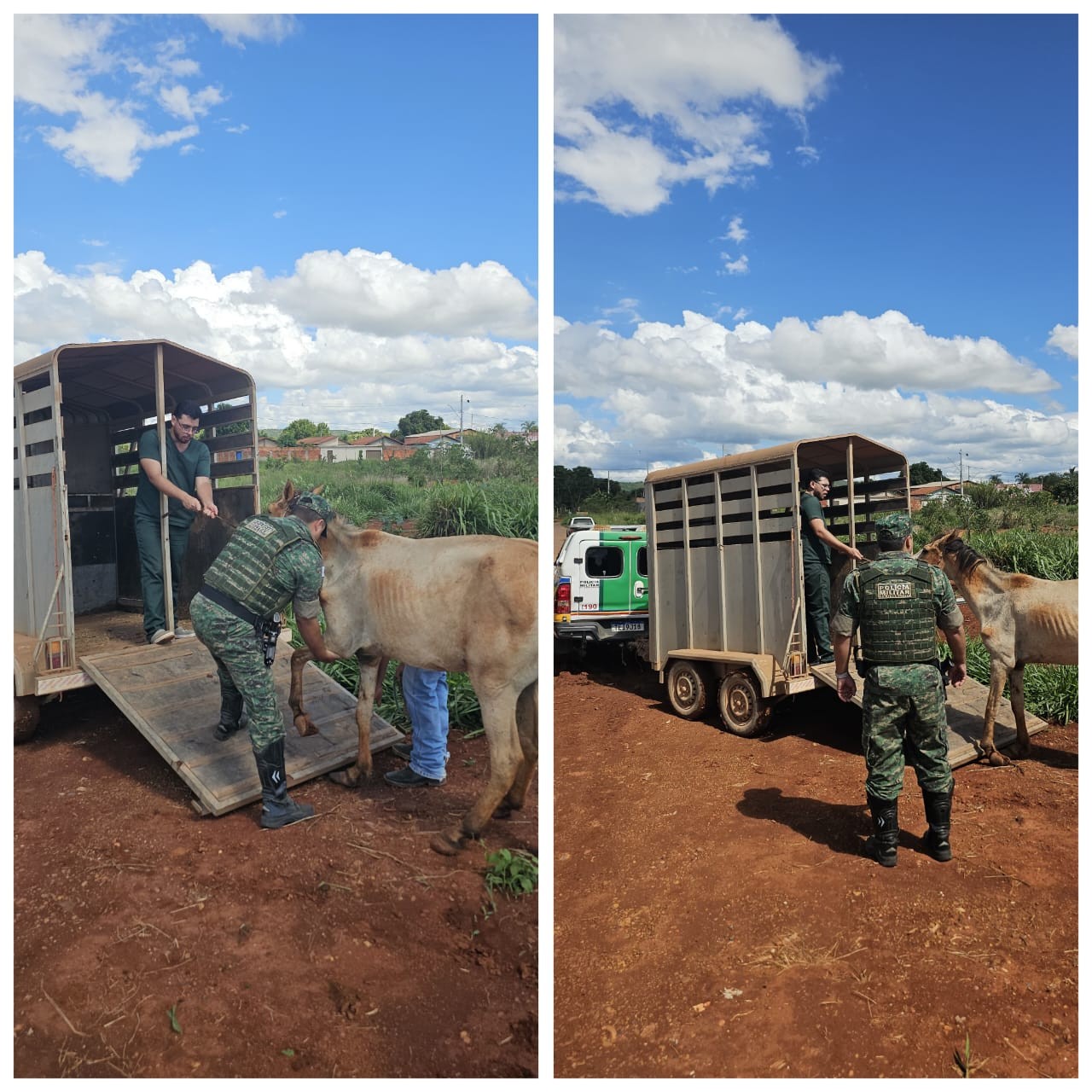 Polícia resgata cavalo que era mantido em situação de maus-tratos em Unaí