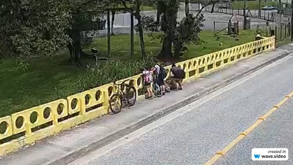Mulher joga próprio cachorro de ponte na frente dos filhos em Joinville — Foto: Reprodução/Polícia Civil
