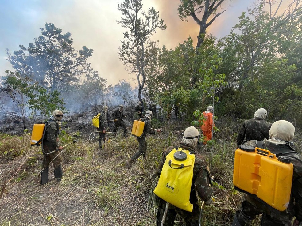 Brigadistas combatem incêndios na Ilha do Bananal — Foto: Luiz Henrique Machado/Governo do Tocantins
