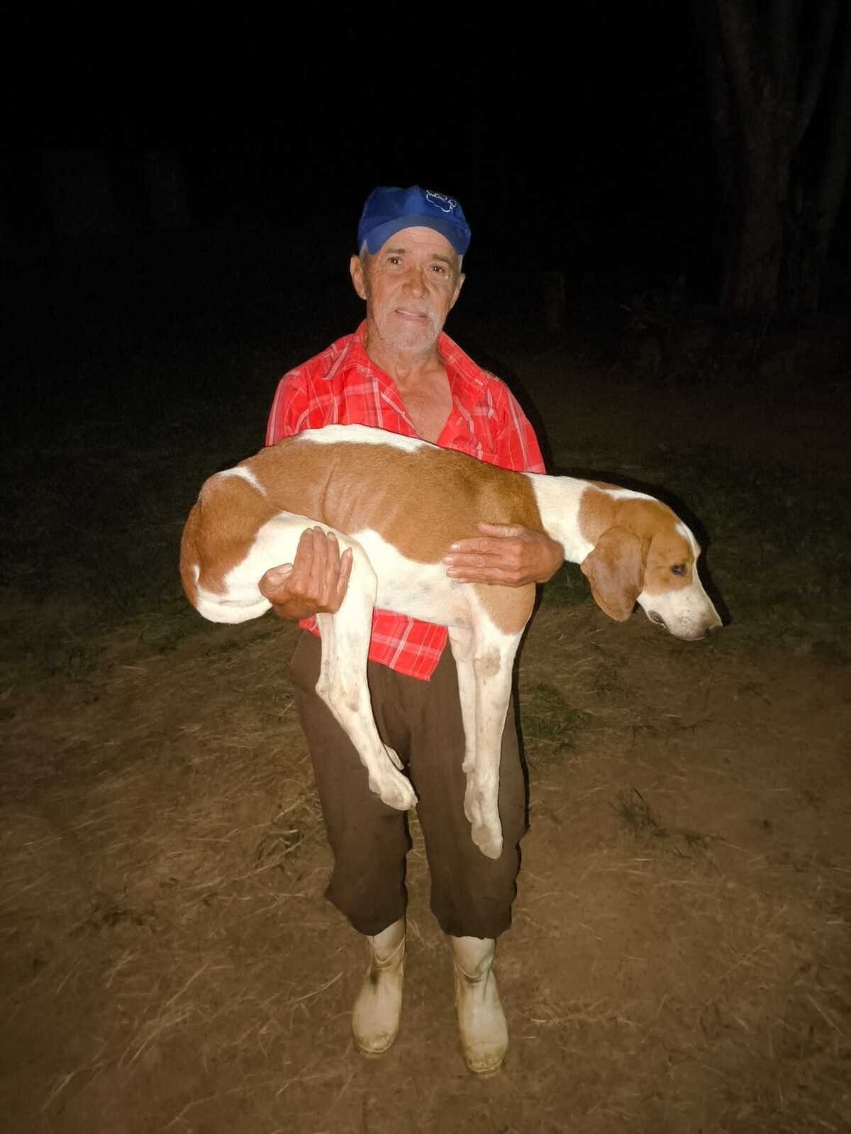 Cachorro de grande porte preso em fenda de rocha de 15 cm por 3 dias é resgatado pelos bombeiros; VÍDEO