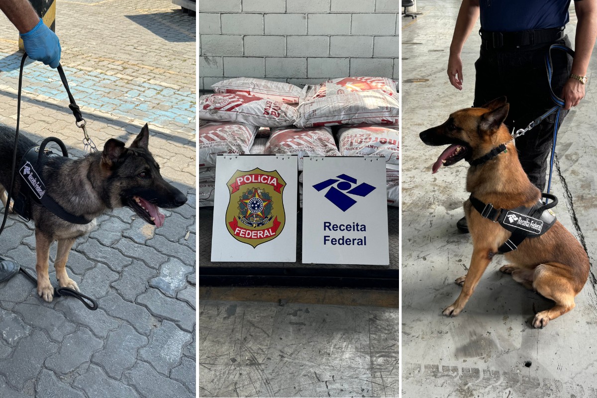 Receita Federal apreende quase meia tonelada de cocaína no Porto de Santos, SP