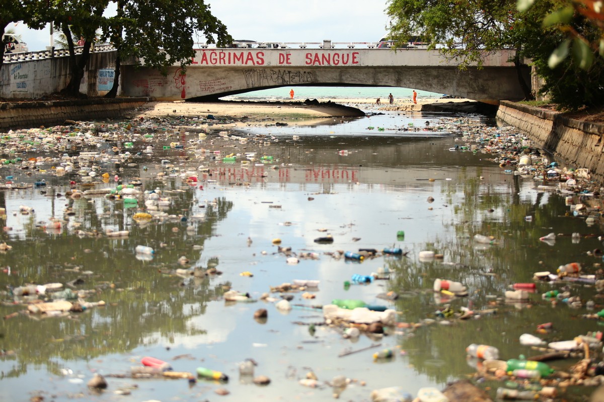 Imagens Do Meio Ambiente Preservado é Destruido - FDPLEARN