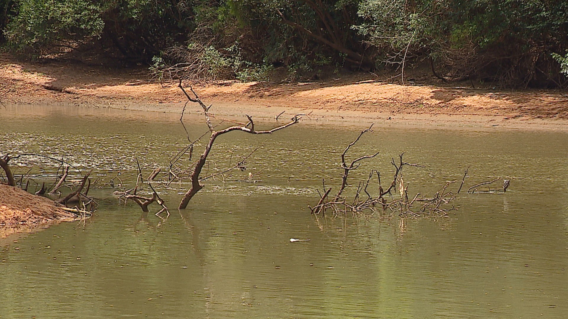 Seis meses após transbordar na enchente, Rio do Sinos entra em racionamento para irrigação devido à falta de chuva 