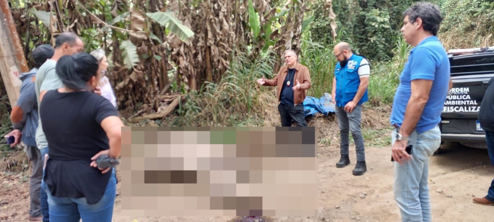 Polícia identifica suspeitos de abandonar cavalo com patas amarradas em Piraí