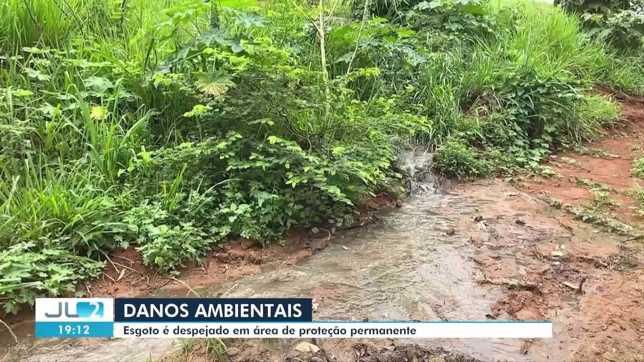 Vazamento de esgoto em Altamira causa danos ambientais em áreas de preservação do Xingu