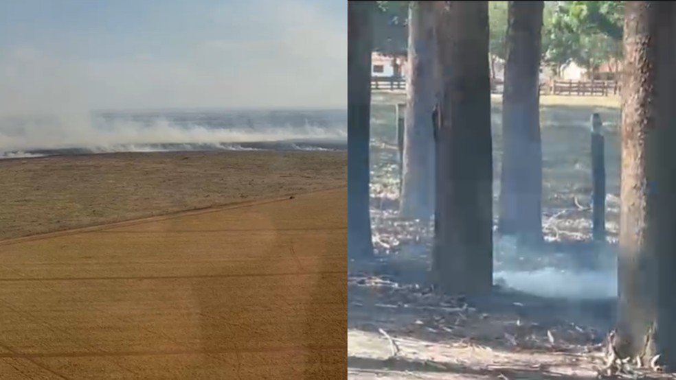 Fazendas atingidas por incêndio ficam a 30 km do trevo da BR-163, em Campo Grande. — Foto: Corpo de Bombeiros