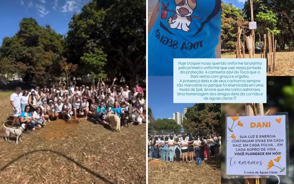 Ipê amarelo plantado por amigos em homenagem à Danille Mansur — Foto: — Fotos: Reprodução/Instagram Toca Segura e Instituto Pelisses