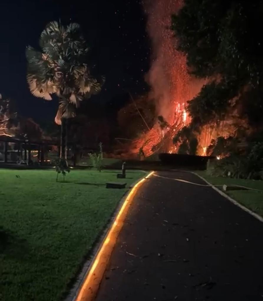 VÍDEO: Incêndio atinge área do Bosque do Praia Clube em Uberlândia