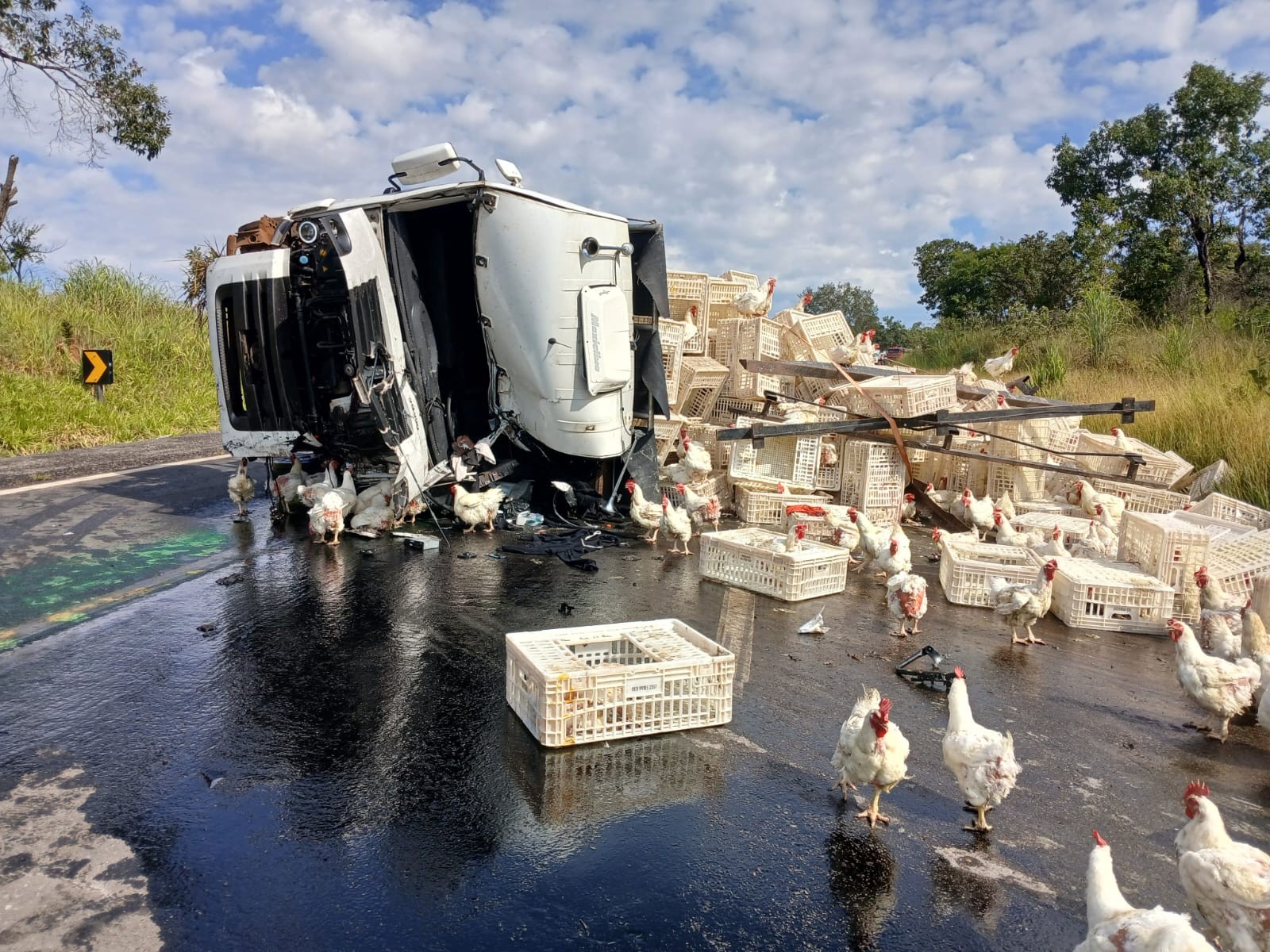 Caminhão carregado com galinhas vivas bate em carreta de refrigerantes tombada na BR-040, em João Pinheiro