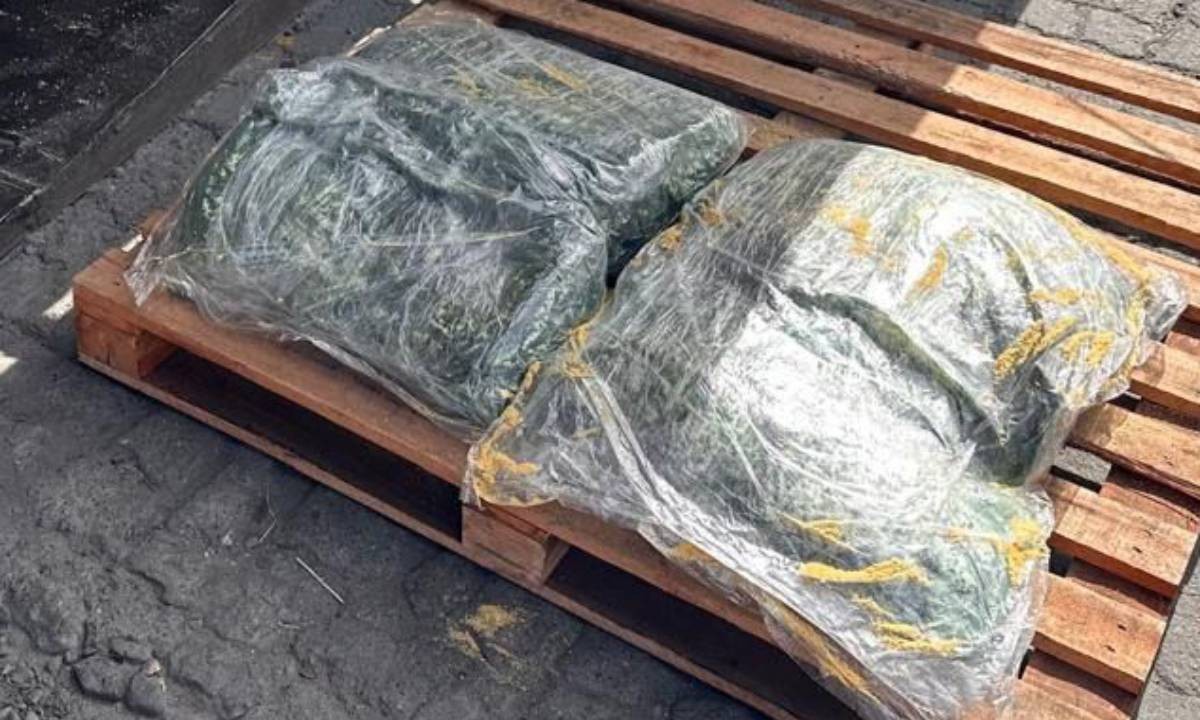 Cocaína escondida em carga de soja é apreendida no Porto de Salvador