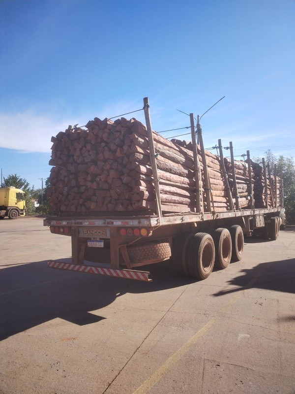 Material estava em caminhões apreendidos pelos agentes — Foto: Divugação