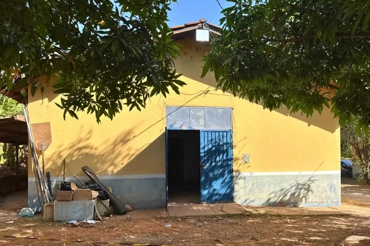 Cães morrem em barracão improvisado de Cuiabá e prefeito cita boicote