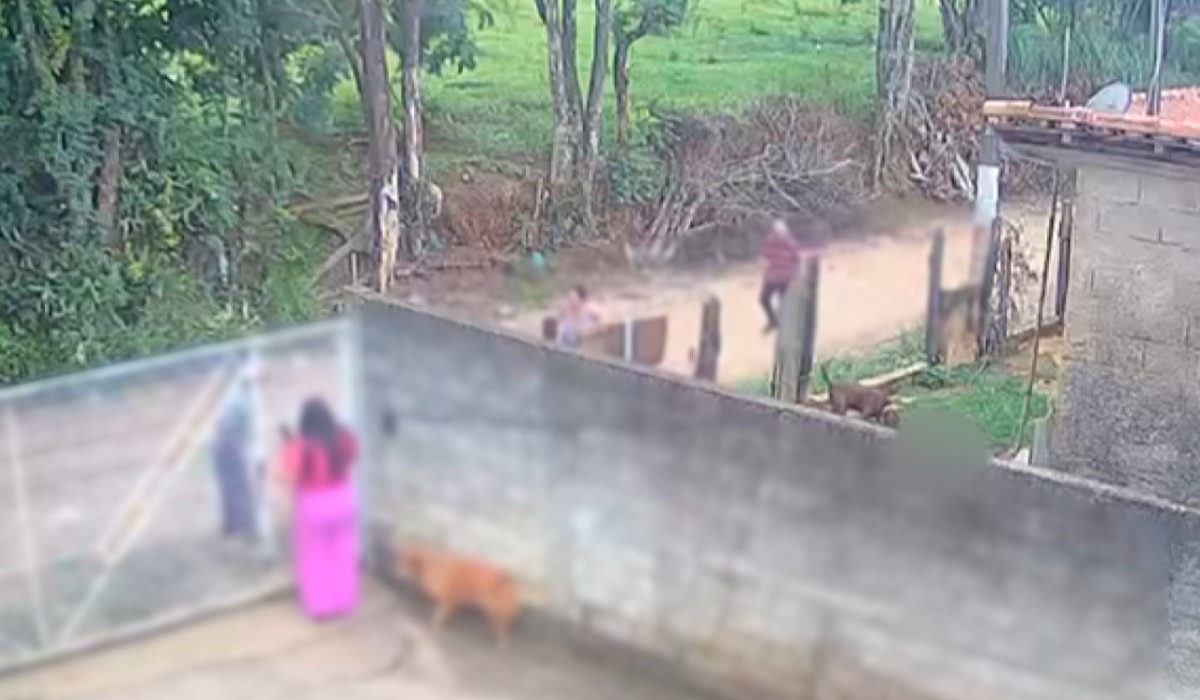 Dog in Home Kills Infant in São Paulo. Still No Charges.