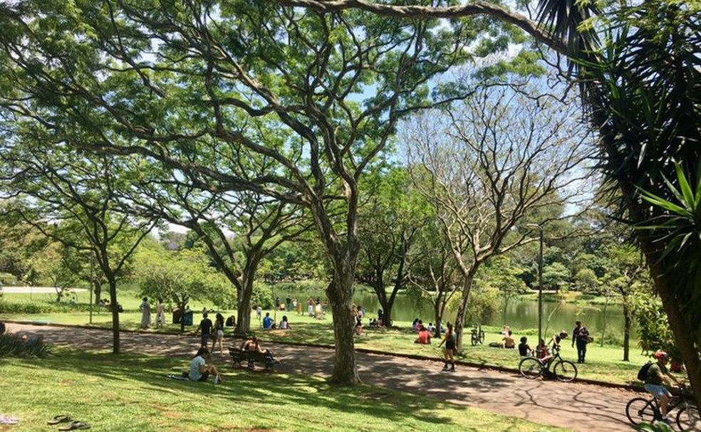 Parque do Ibirapuera em manhã de sol e calor — Foto: Paola Patriarca/g1