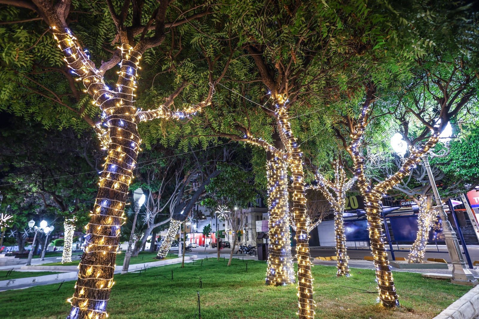 O que abre e fecha em Petrolina durante as festividades de Natal