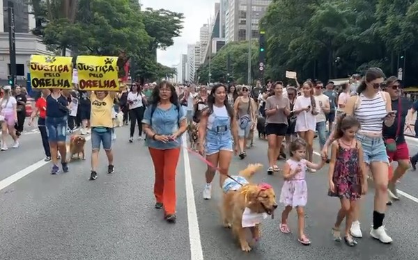 Manifestantes se reúnem na Avenida Paulista, Centro de SP, neste domingo (1°) em ato contra a agressão ao cão Orelha, em Florianópolis, Santa Catarina. — Foto: Montagem/g1/Reprodução/TV Globo