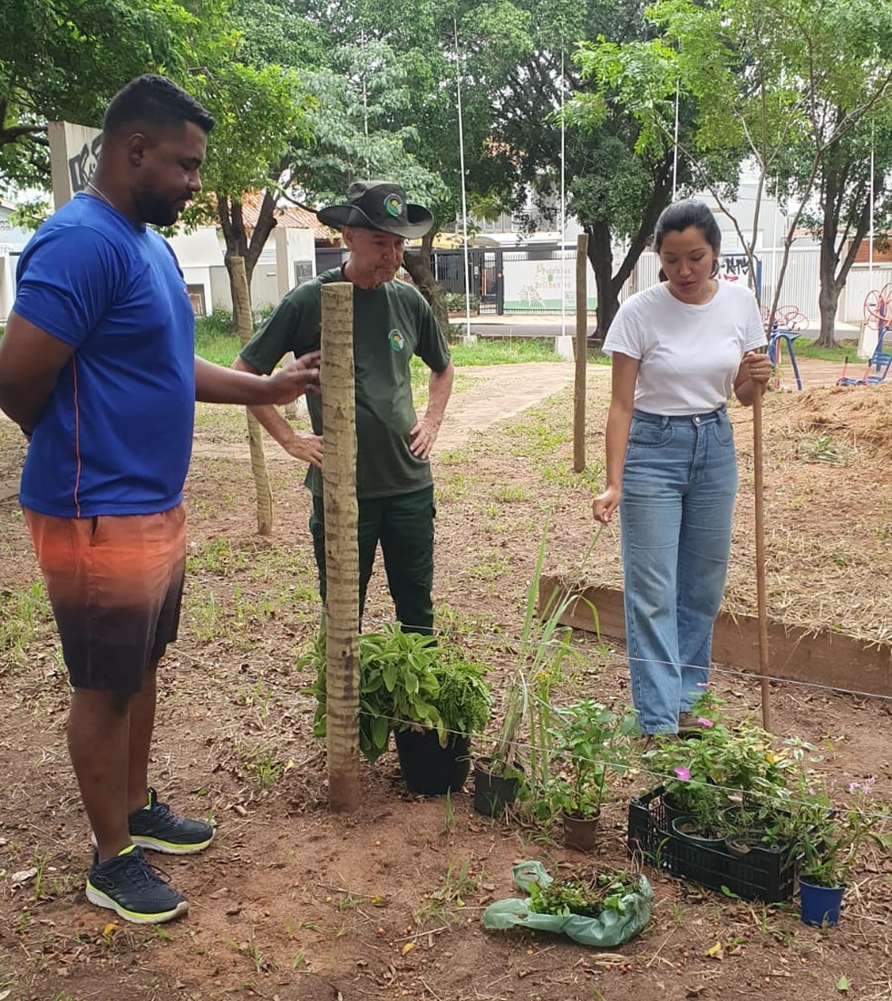 Moradores do Jardim das Rosas, em Presidente Prudente (SP), iniciaram horta comunitária — Foto: Cedida
