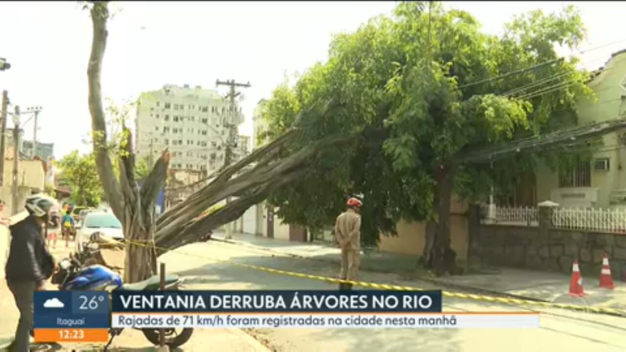 RJ1 de terça, 1º de setembro de 2026