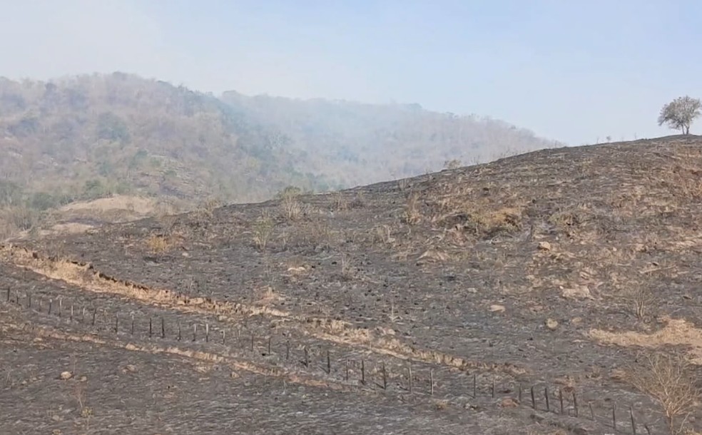 Queimada atinge área de mata do Parque Estadual Serra do Mar, em Cunha — Foto: Reprodução/TV Vanguarda