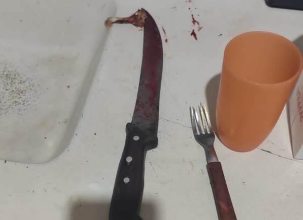 Faca ensanguentada foi apreendida no local. Casal havia ingerido bebidas alcoólicas e discutiu em casa de Vargem Grande do Sul — Foto: Gui Burger/De Olho São José