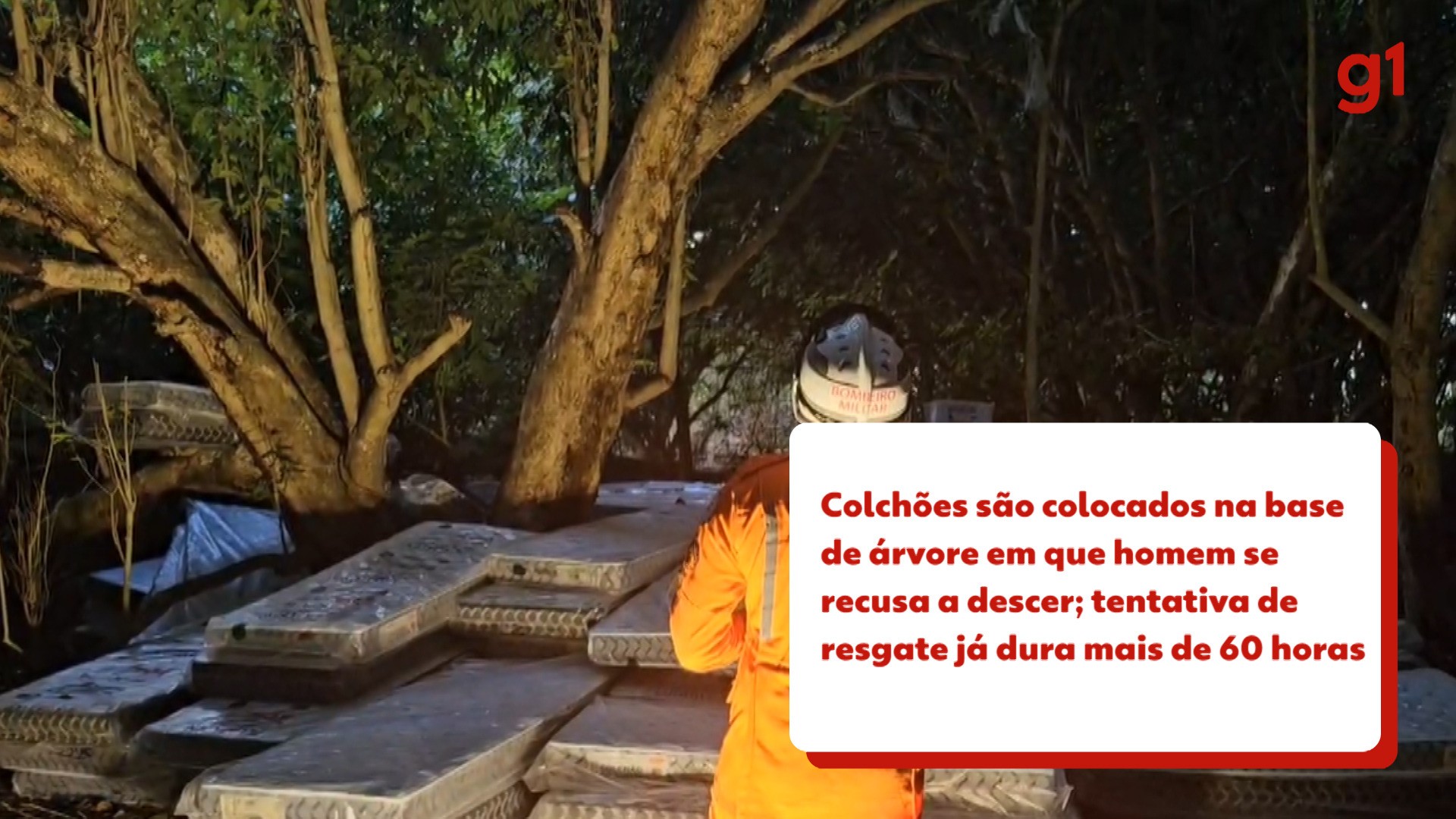 Vídeos g1 e TV Bahia - quinta-feira, 5 junho de 2025