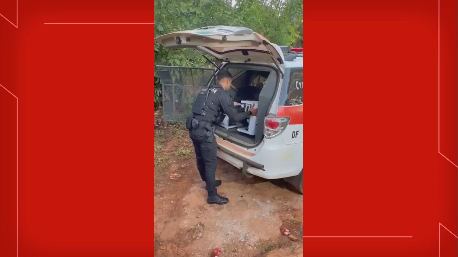Polícia do DF mira grupo suspeito de movimentar R$ 11 milhões com 'jogo do tigrinho'