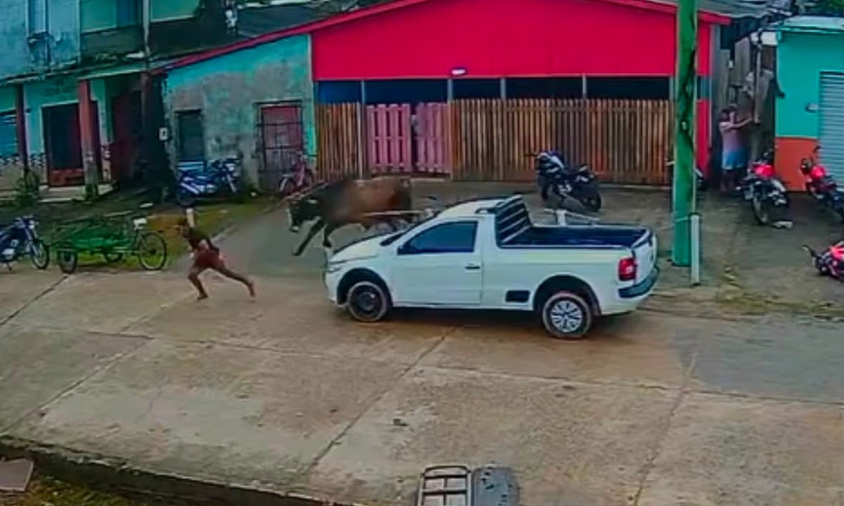 VÍDEO: Boi foge durante transporte e persegue pessoas em cidade do Amazonas