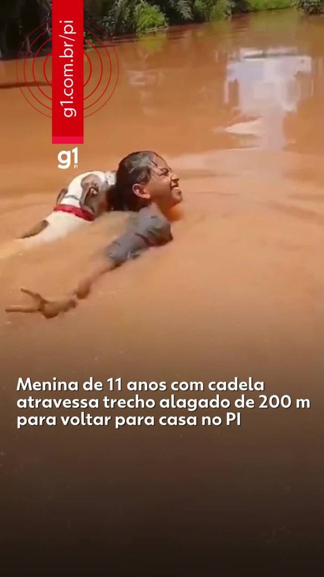 Menina de 11 anos atravessa trecho alagado de 200 m com cadela
