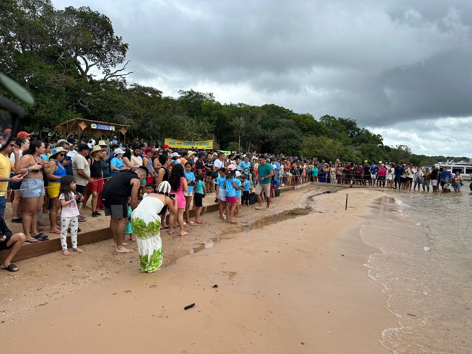Mais de 5 mil filhotes de tartaruga-da-Amazônia são soltos no Rio Arapiuns, na comunidade Coroca