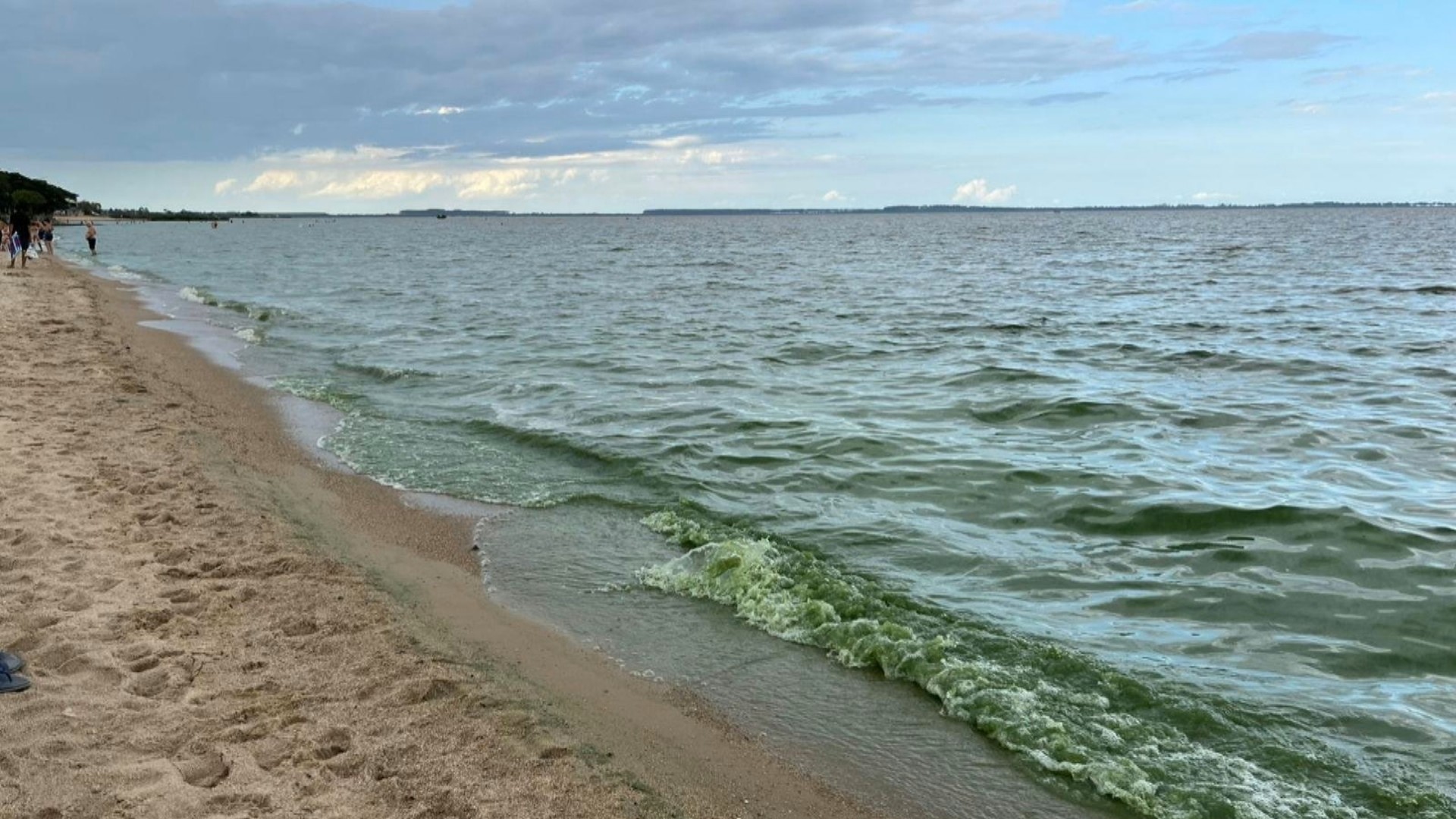 Água verde e densa da Lagoa dos Patos surpreende veranistas em Tapes